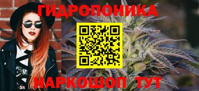 дмт Гуково