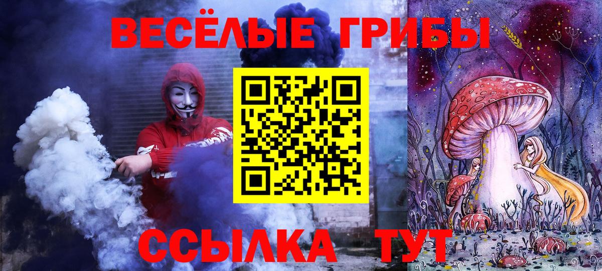 Грозный  купить закладку  Вход с VPN  Псилоцибиновые грибы Psilocybine cubensis 
